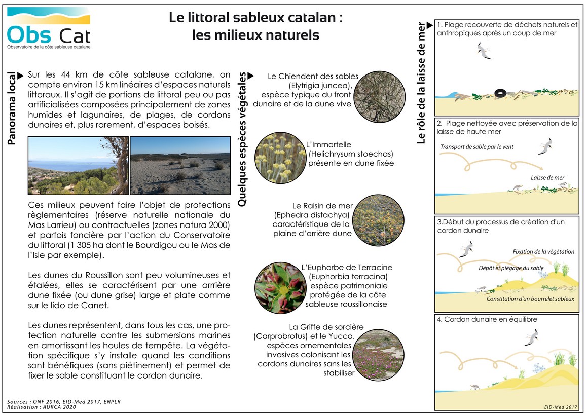 WEB_littoral sableux catalan_les milieux naturels_2020