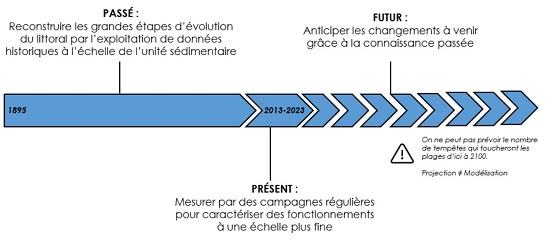 frise_étude_tdc_2024